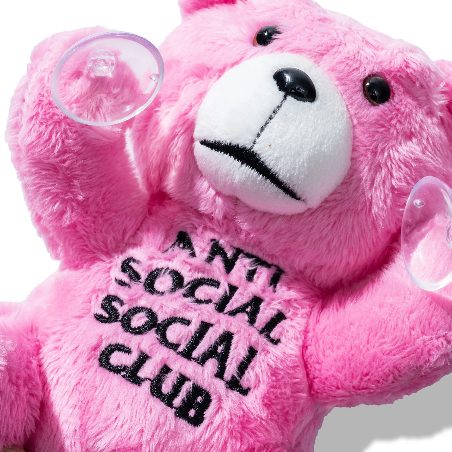 ASSC Window Plush Bear - Image 4